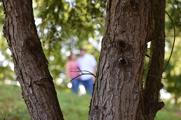 DSC_0605