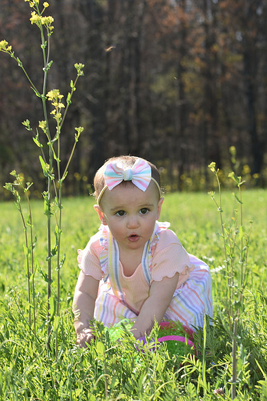 DSC_0698 (1)