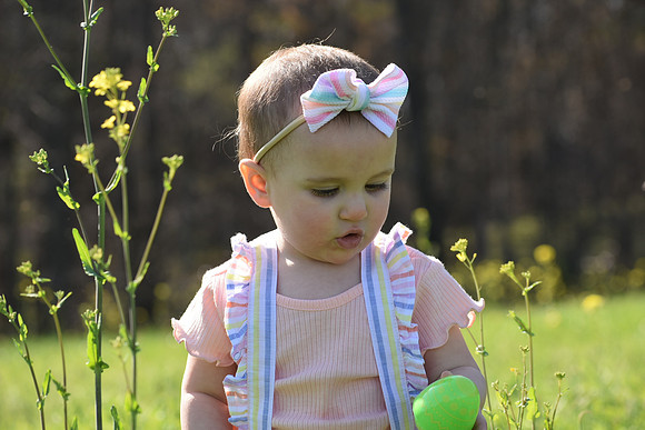 DSC_0706 (2)
